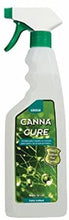 Load image into Gallery viewer, Canna Cure & Spray