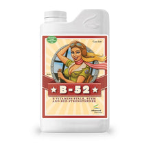 Φόρτωση εικόνας στο εργαλείο προβολής Συλλογής, B-52