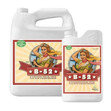 Φόρτωση εικόνας στο εργαλείο προβολής Συλλογής, B-52