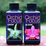 Orchid Focus GROW