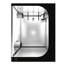 Lade das Bild in den Galerie-Viewer, SECRET JARDIN DARK STREET