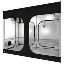 Lade das Bild in den Galerie-Viewer, SECRET JARDIN DARK STREET