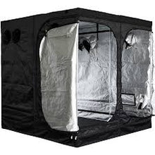 Lade das Bild in den Galerie-Viewer, MAMMOTH CLASSIC