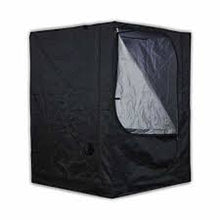 Lade das Bild in den Galerie-Viewer, MAMMOTH CLASSIC