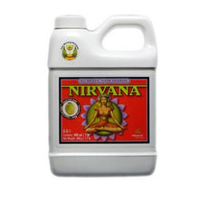 Φόρτωση εικόνας στο εργαλείο προβολής Συλλογής, Nirvana