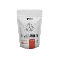 Elements supercharged boost 250 g Remo