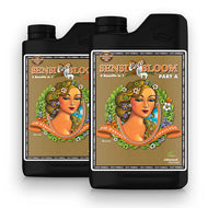 Sensi Coco Bloom A&B