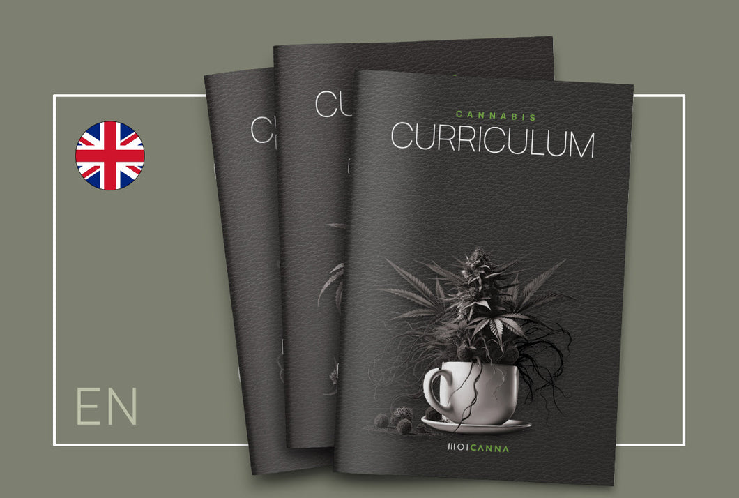 Curriculum Μίνι έκδοση (Αφίσα) (3 αντίτυπα)
