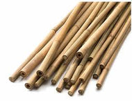 Καλάμια Από Bamboo