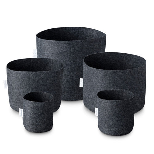 ROOT TEX POT