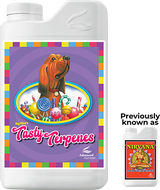 Tasty Terpenes