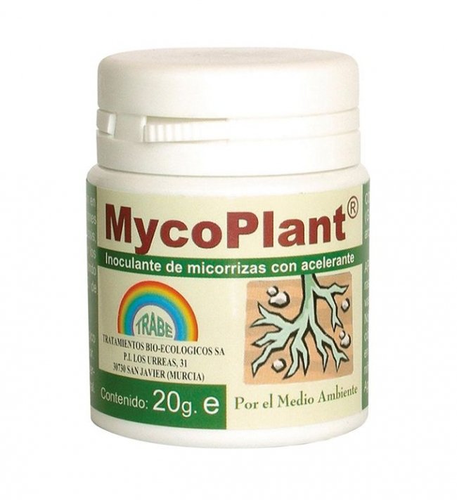 MycoPlant